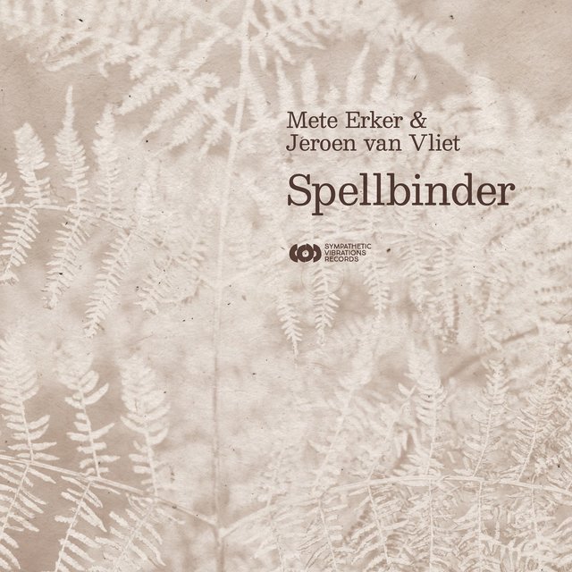 Spellbinder