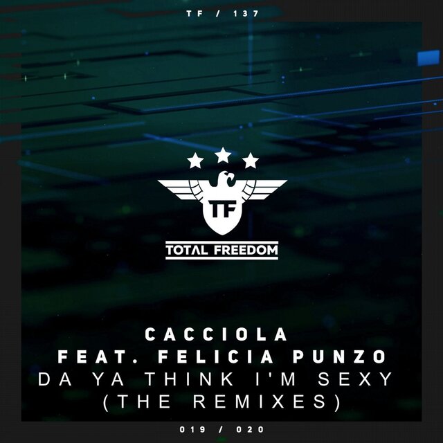 Da Ya Think I'm Sexy (The Remixes)