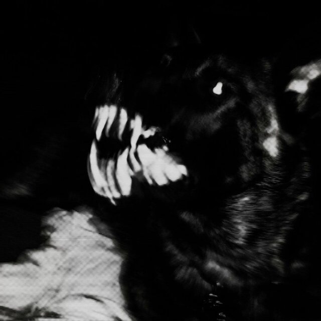 K9 (feat. Oh3000)