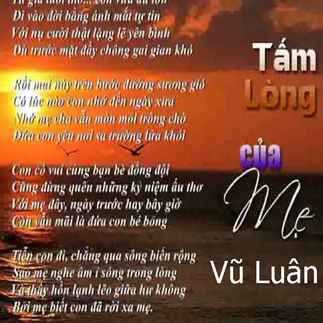 Tấm Lòng Của Mẹ