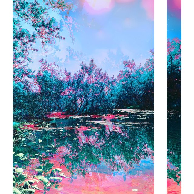 ZEN