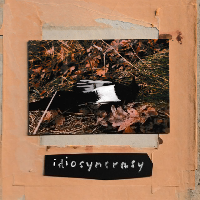 idiosyncrasy