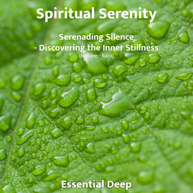 Serenading Silence - Discovering the Inner Stillness (Nature - Rain)