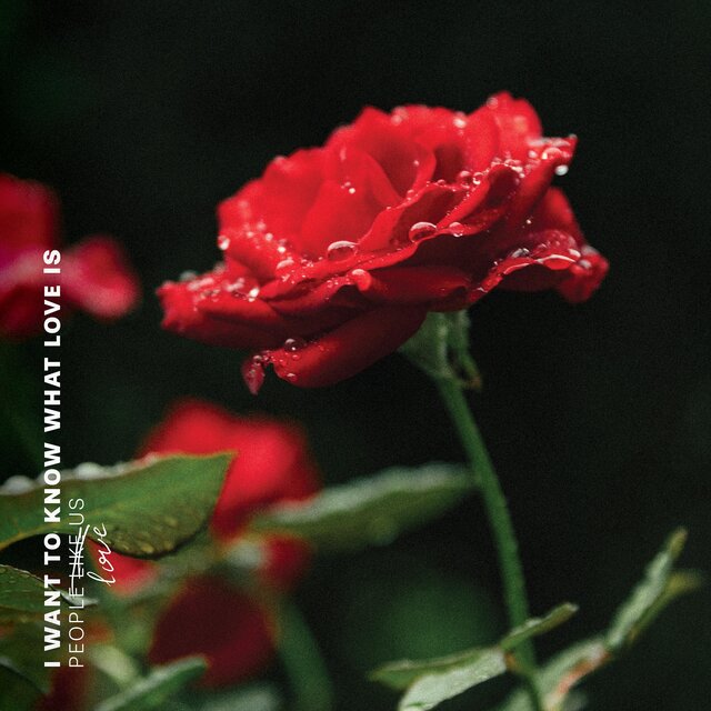 I Want to Know What Love Is