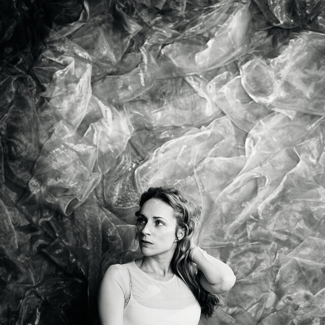 Cover art for album The Meaning of Flowers by Agnes Obel