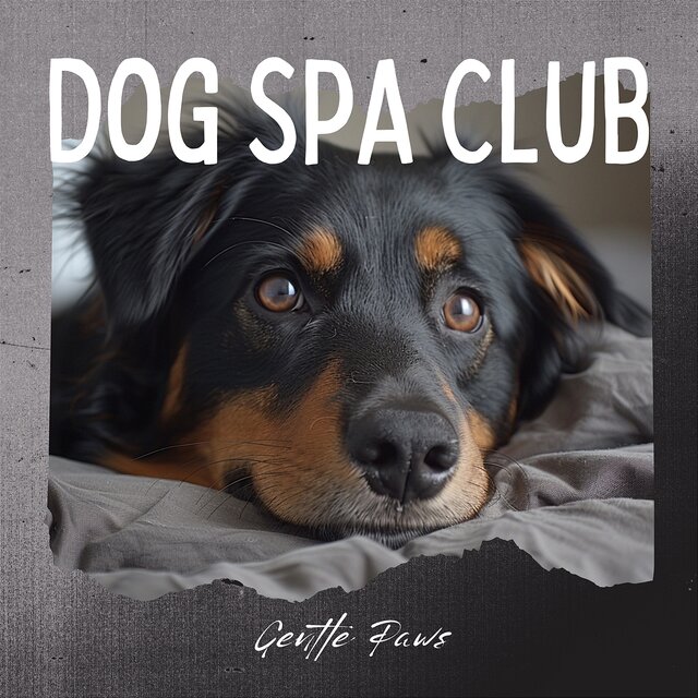Gentle Paws: Creating a Calm Canine Environment