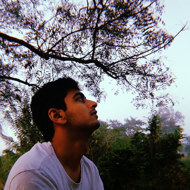 An Evening Under the Tree