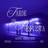 Tarde Sin Respuesta (feat. Medina MtZz)