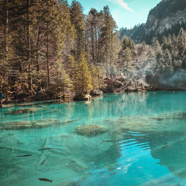 Serenity Begun