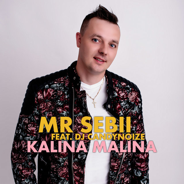 Kalina Malina (Radio Edit)