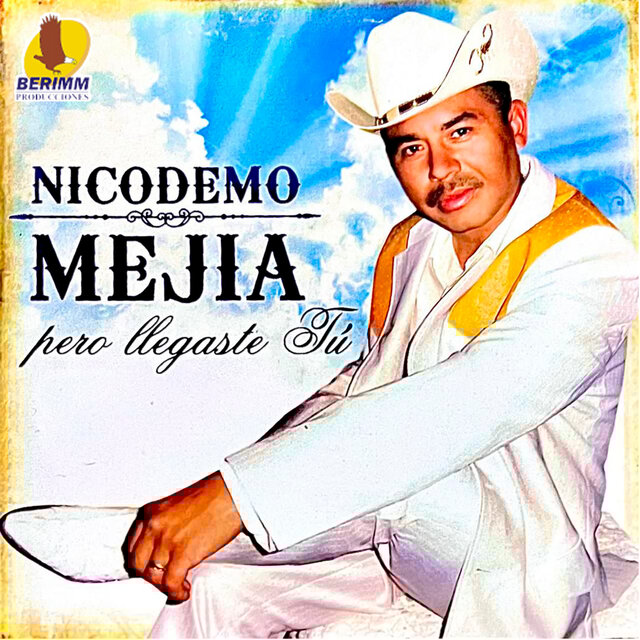 Pero Llegaste Tu