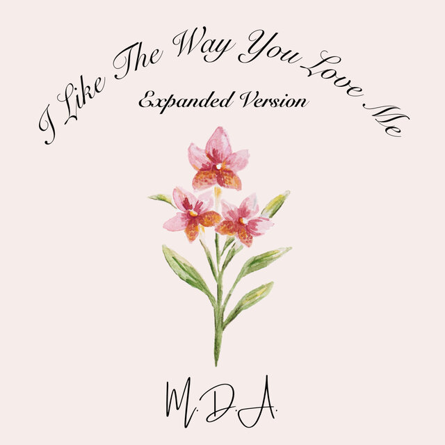 I Like The Way You Love Me (Expanded Edition)