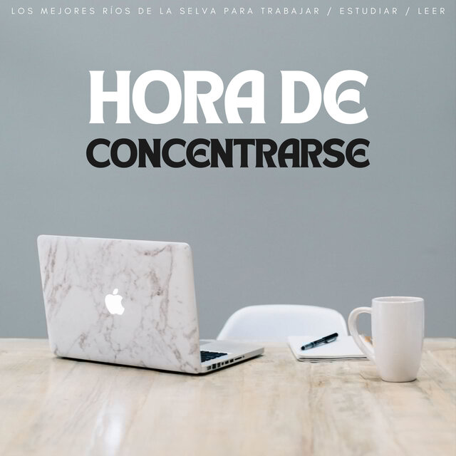 Hora De Concentrarse: Los Mejores Ríos De La Selva Para Trabajar / Estudiar / Leer