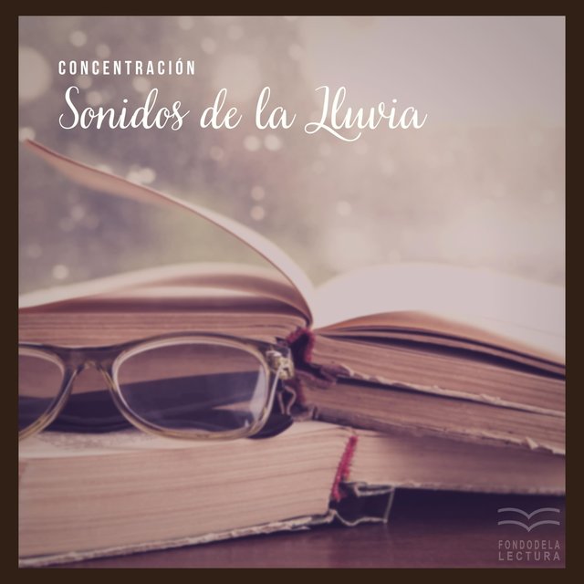 Concentración: Sonidos de la Lluvia