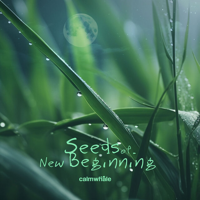 Seed of New Beginning