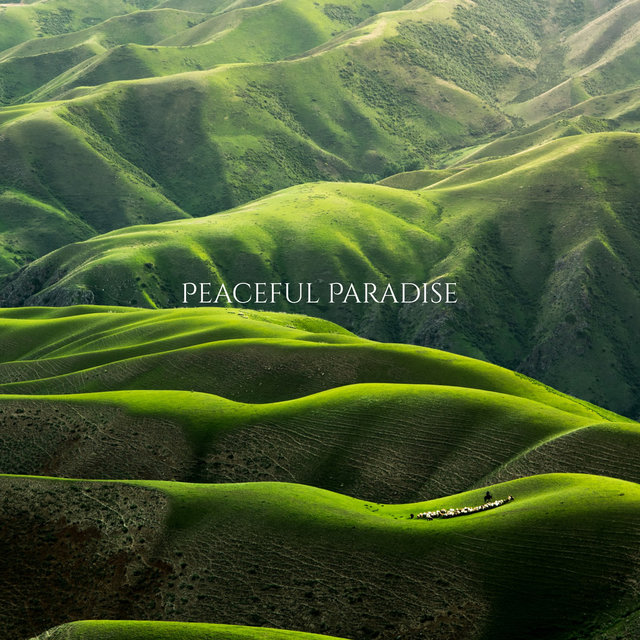 Splendid Music Paradise