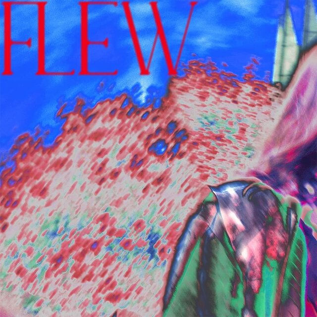 FLEW