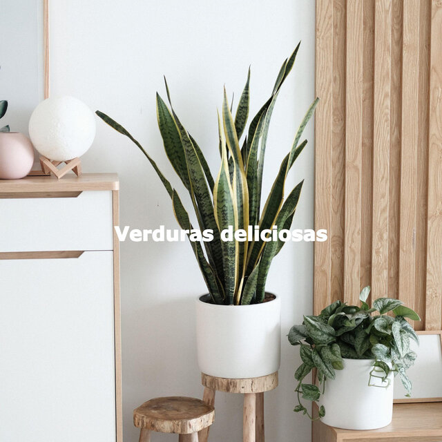 Verduras deliciosas
