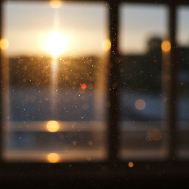 Afternoon light tapping on the window