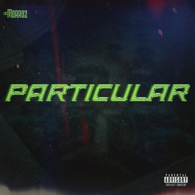 PARTICULAR