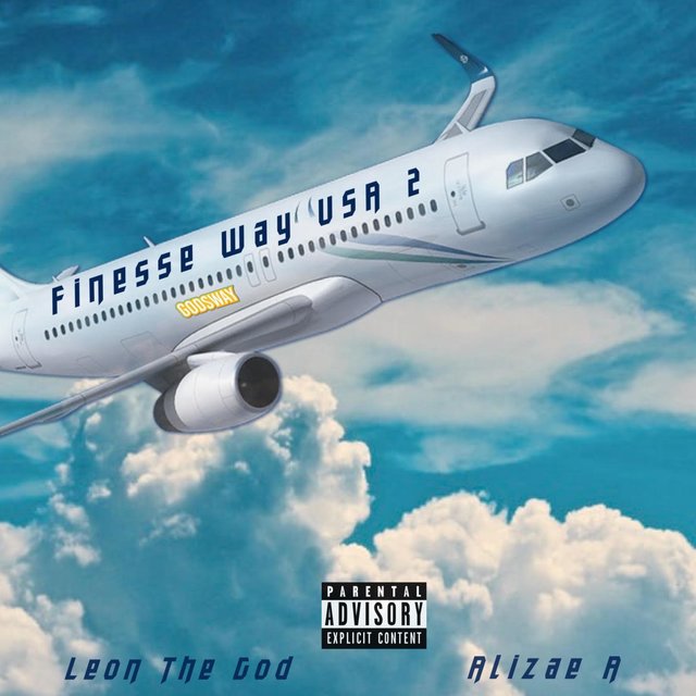 FinesseWay USA (II)