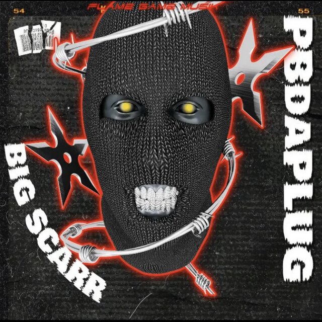 Bigg Scarr