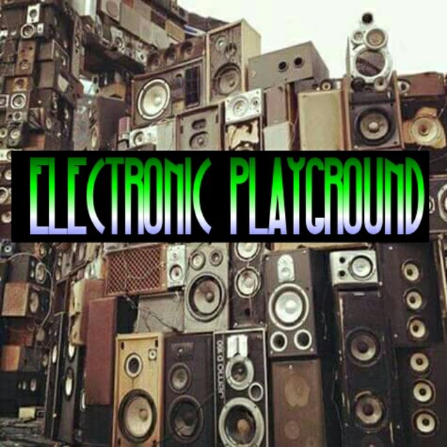 Electronic Playground