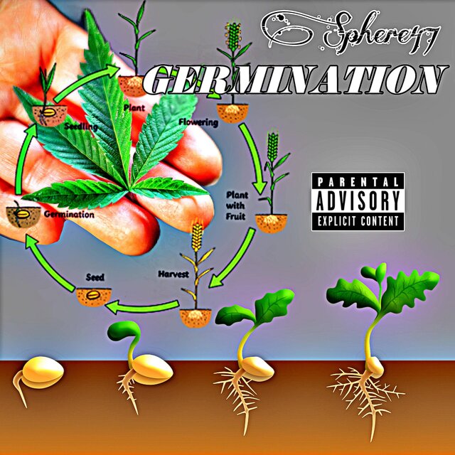 PHASE 1: GERMINATION
