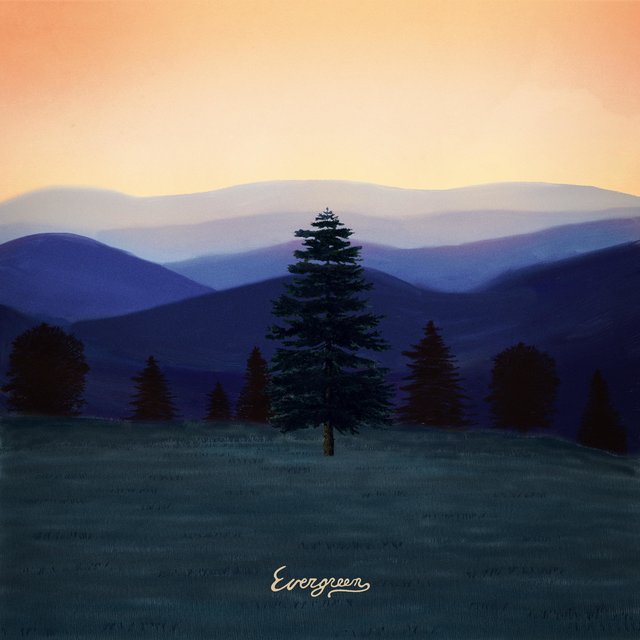 Evergreen
