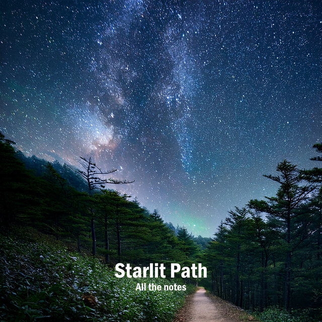 Starlit Path