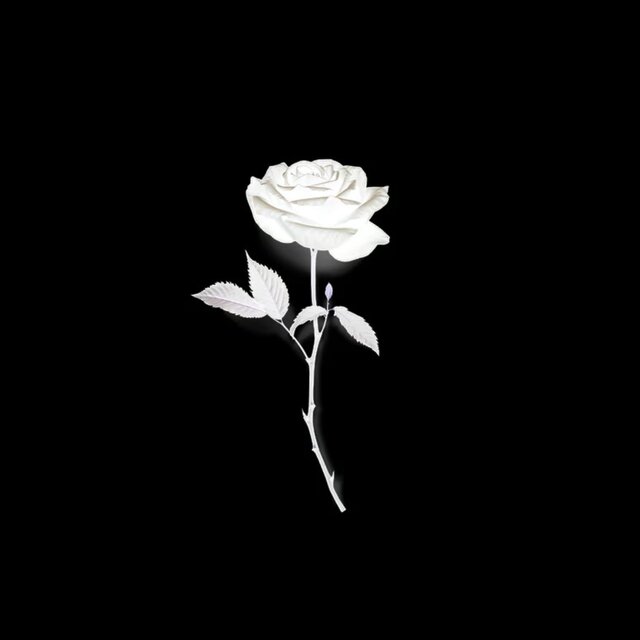 i killed myself trying to love somebody