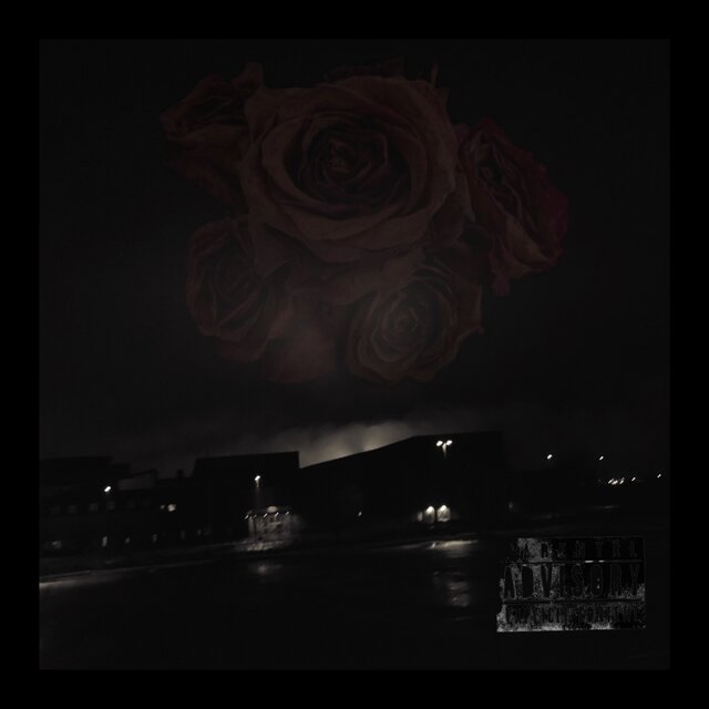 Dead Roses