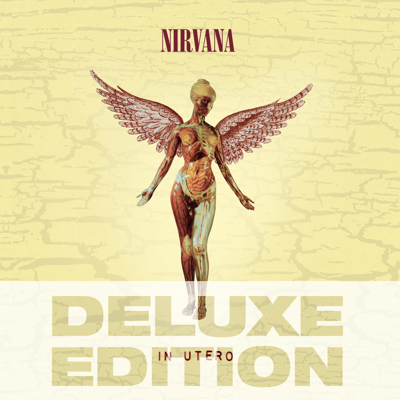 In Utero (Deluxe Edition) / Nirvana - TIDAL