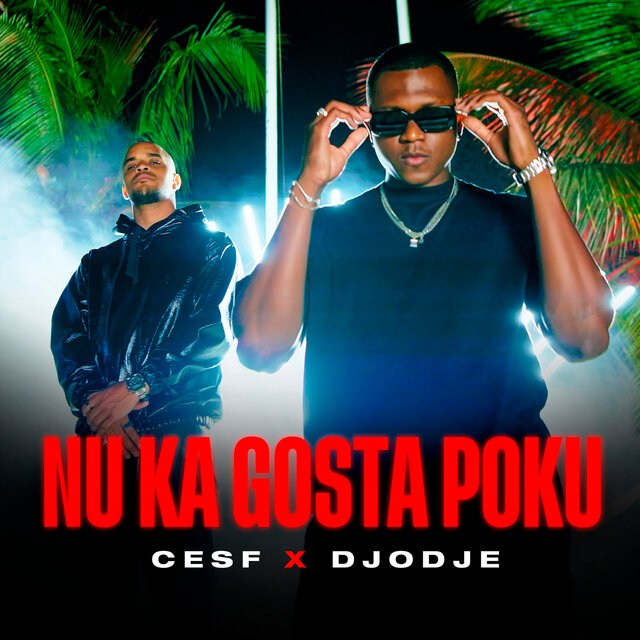Nu Ka Gosta Poku