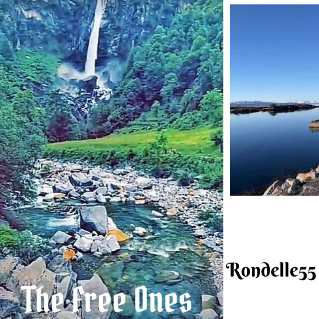 The Free Ones