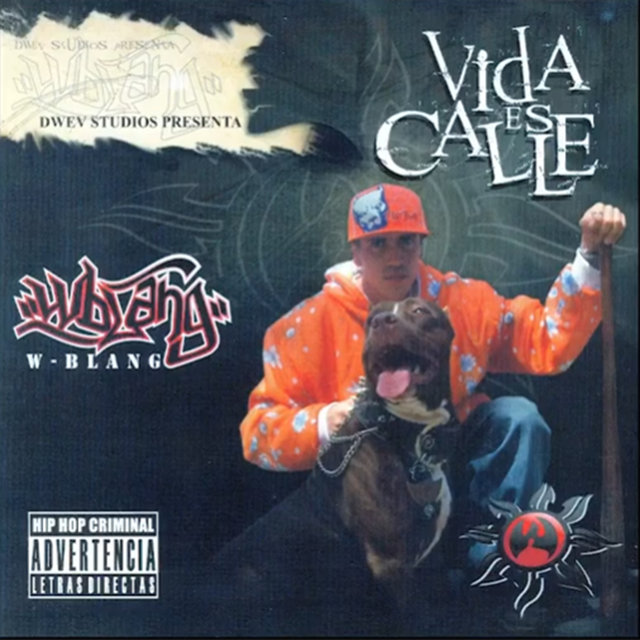 Vida Es Calle