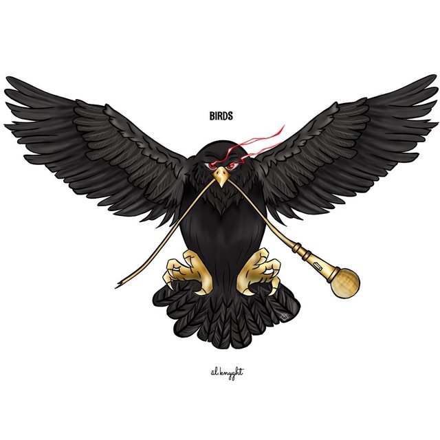 Birds