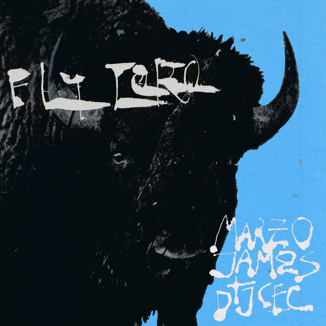 Fly Toro