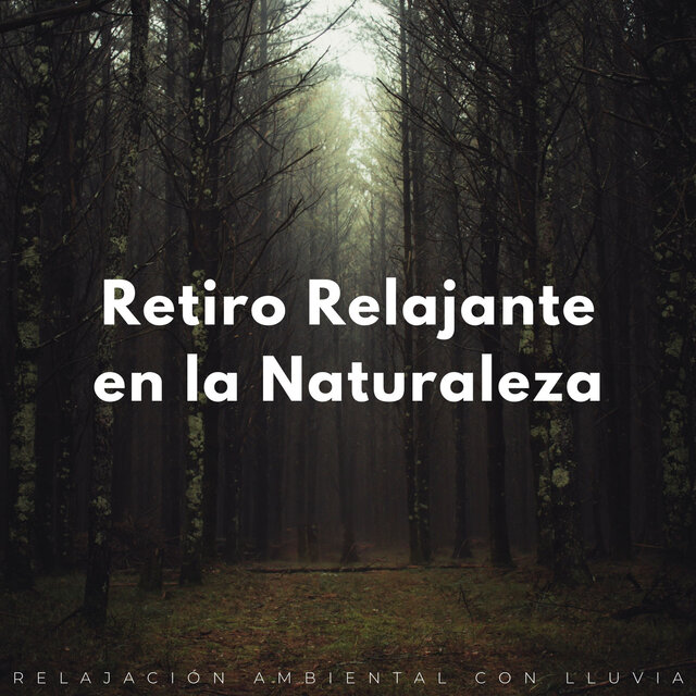 Retiro Relajante En La Naturaleza: Relajación Ambiental Con Lluvia