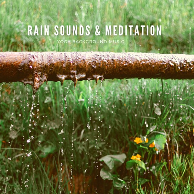 Rain Sounds & Meditation