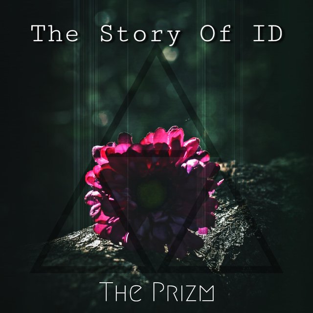 The Story of ID