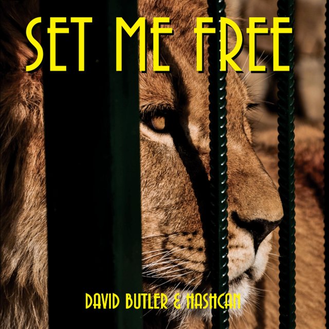 Set Me Free