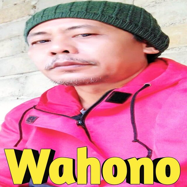 dj nongke
