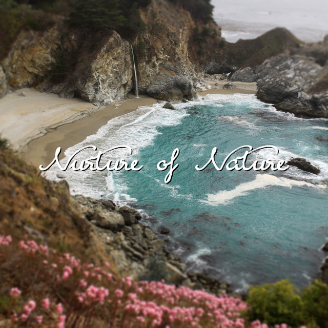 Sounds of Nature