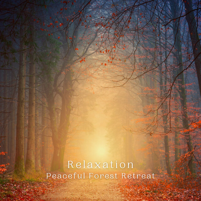 Relaxation: Peaceful Forest Retreat
