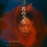 深露