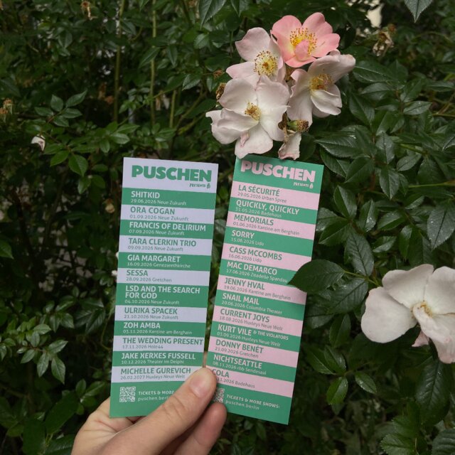 Cover art for album Puschen Hitlist by User