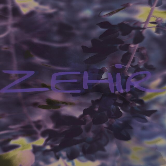Zehir
