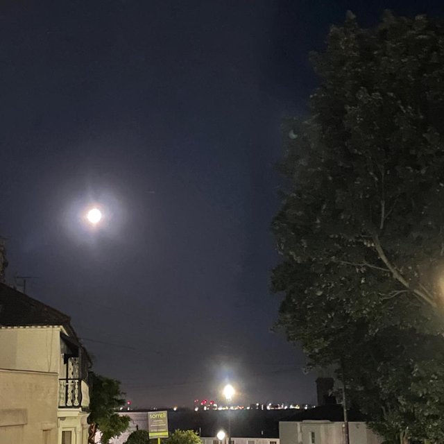 I Watch the Moon