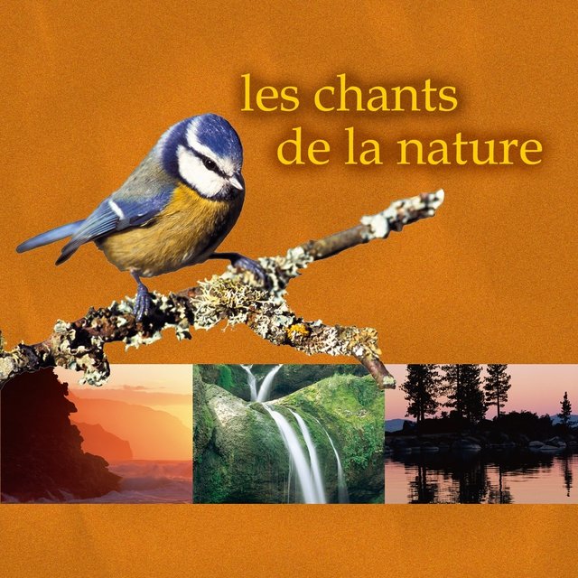 Les chants de la nature
